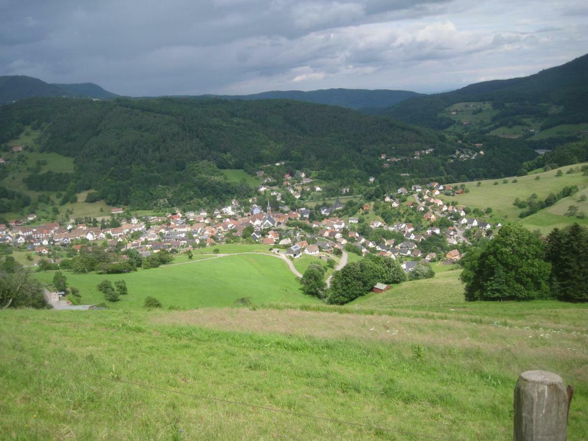 Gite En Pleine Verdure Au Coeur Du Village Lapoutroie Dış mekan fotoğraf